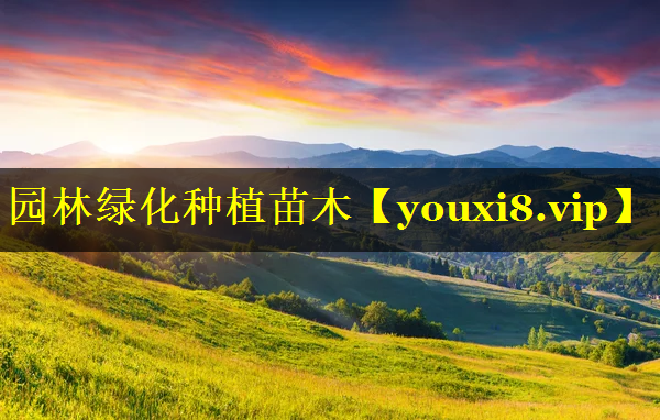 园林绿化种植苗木