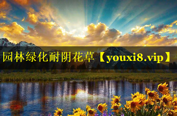 园林绿化耐阴花草