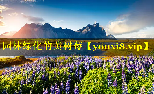 园林绿化的黄树莓