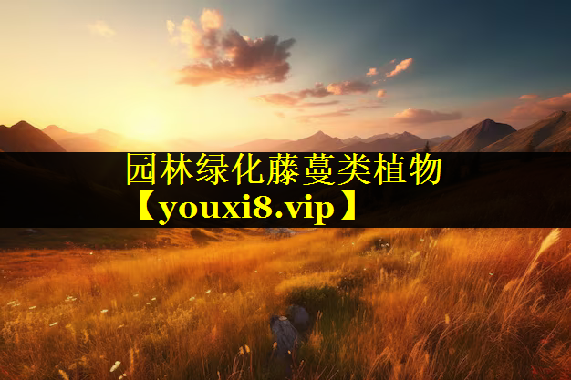 园林绿化藤蔓类植物