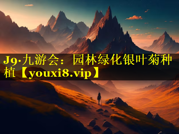 园林绿化银叶菊种植