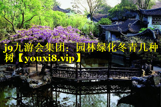 园林绿化冬青几种树