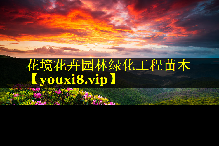 花境花卉园林绿化工程苗木