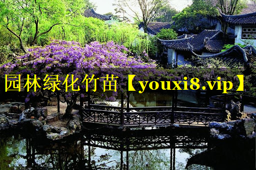 园林绿化竹苗