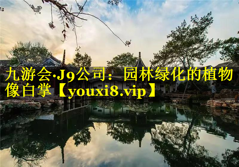 园林绿化的植物像白掌