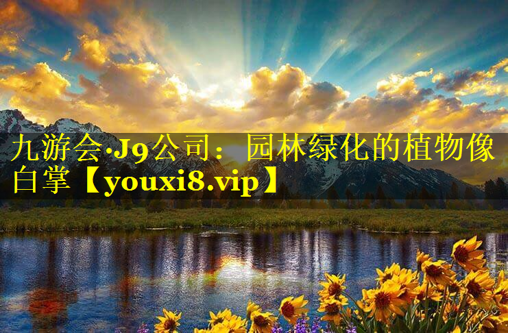 园林绿化的植物像白掌